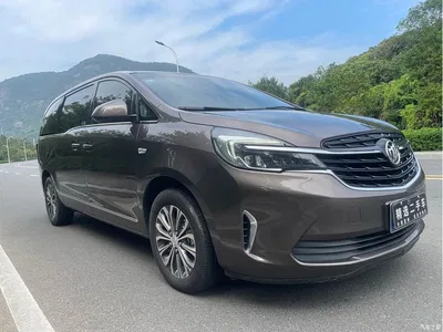 2022 Buick GL8 Land Business Class 652T Luxury, фото 2, лот 10836980
