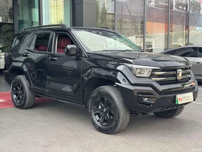 2024 Tank 400 New Energy Hi4-T Off-Road Edition, фото 3, лот 10889902