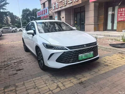 2026 BYD Qin PLUS DM-i Smart Edition 128KM Progressive, фото 3, лот 10363131