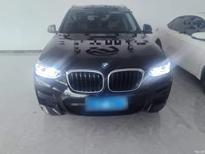 2019 BMW X3 xDrive25i M Sport Package, фото 3, лот 11395624