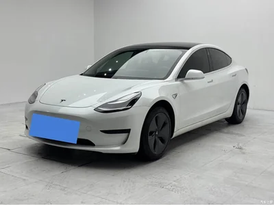 2020 Tesla Model 3 Standard Range Rear-Wheel Drive Upgrade, фото 2, лот 10356456