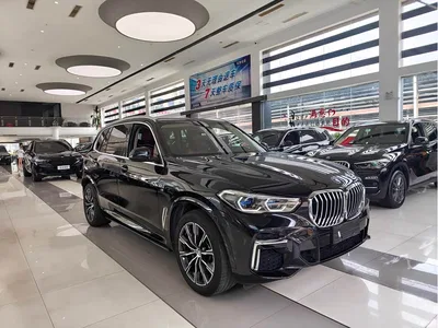 2022 BMW X5 Facelift xDrive 30Li Premium M Sport Package, фото 3, лот 10462971