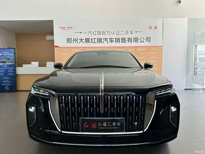 2025 Hongqi H9 Facelift 2.0T 2WD Flagship Luxury Business Edition 5-seater, фото 2, лот 10450701