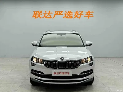 2023 Škoda Karoq TSI280 Luxury Edition, фото 3, лот 10349226