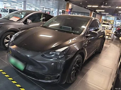 2021 Tesla Model Y Standard Range Rear-Wheel Drive, фото 2, лот 11219579
