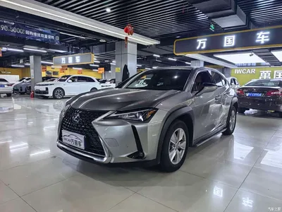 2020 Lexus UX 260h Explore Fun Edition, фото 1, лот 10312531