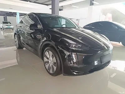 2023 Tesla Model Y Long Range All-Wheel Drive Edition, фото 4, лот 10807967