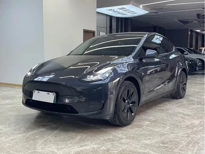 2024 Tesla Model Y Long Range AWD, фото 1, лот 10403272