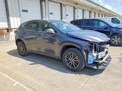 2024 LEXUS NX 250 PREMIUM, фото 4, лот 10664625