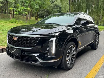 2025 Cadillac XT5 2.0T FWD Style Edition, фото 1, лот 11196954
