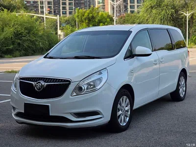 2017 Buick GL8, фото 1, лот 10245274