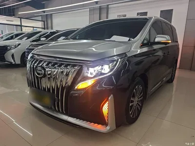 2023 GAC Trumpchi Trumpchi M8 Leading Series 390T Prestige Edition, фото 1, лот 10424069