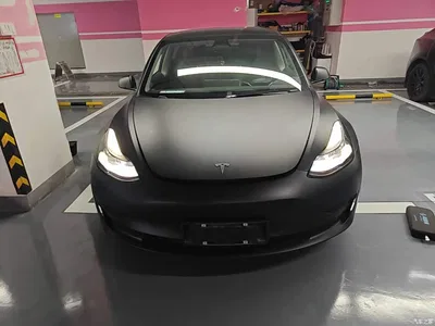 2022 Tesla Model 3 Model Rear-Wheel Drive Version, фото 3, лот 10369775