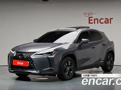 2019 Lexus UX 250h 2.0 2WD, фото 1, лот 10033183
