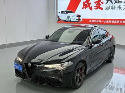 2020 Alfa Romeo Giulia 2.0T 280HP Track Limited Edition, фото 3, лот 10407360
