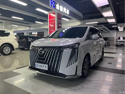 2024 GAC Trumpchi Trumpchi M8 Master Series 400T Premium Edition, фото 4, лот 10419512