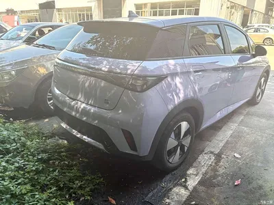 2023 BYD Dolphin 420km Freedom Edition, фото 3, лот 10254005