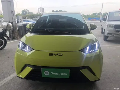 2024 BYD Seagull Glory Edition 305km Freedom Edition, фото 3, лот 10262951