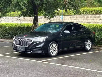 2019 Hongqi H5 30TD Style Edition, фото 1, лот 10612618