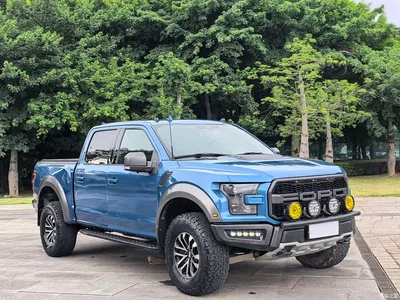 2019 Ford F-150 Raptor 3.5T Raptor Performance Enhanced Edition, фото 3, лот 10297491