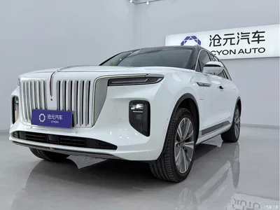 2022 Hongqi E-HS9 660km Qi Chang Edition (6-seater), фото 1, лот 10288844