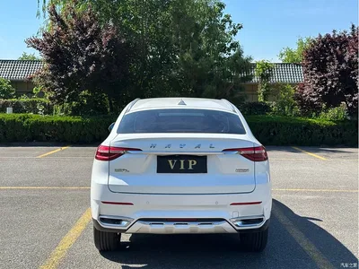 2019 Haval F7x 1.5T 2WD Extreme Smart Tech Edition, фото 4, лот 10282311
