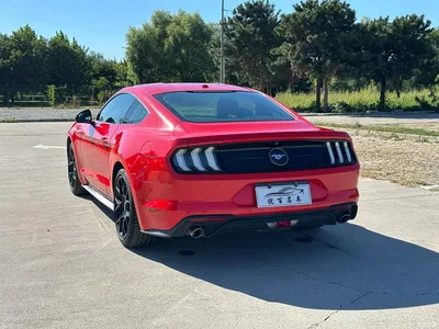 2019 Ford Mustang 2.3L EcoBoost, фото 4, лот 11568094
