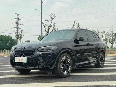 2023 BMW iX3 Pioneer Type, фото 1, лот 11090179