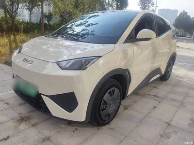 2025 BYD Seagull Smart Drive Edition 305km Vitality Version, фото 1, лот 10587456