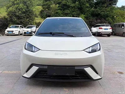 2024 BYD Seagull Glory Edition 305km Vitality Edition, фото 2, лот 10254500