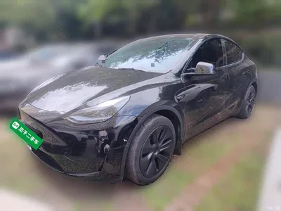 2023 Tesla Model Y Rear-Wheel Drive Edition, фото 1, лот 10842535