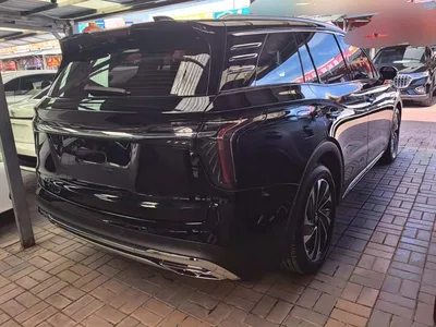 2024 Hongqi HS7 PHEV 2.0T PHEV 4WD Flagship Edition 6-seater, фото 3, лот 10304078