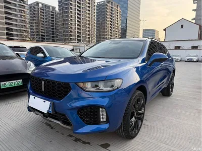 2017 WEY VV5 2.0T Flagship Model, фото 1, лот 10452029