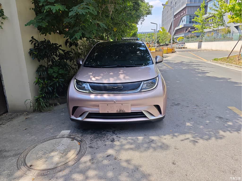 2021 BYD Dolphin Model 405km Fashion Edition, фото 2, лот 11223266