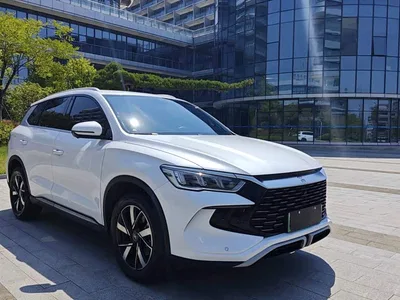 2024 BYD Song Pro New Energy Glory Edition DM-i 71KM Pilot, фото 3, лот 10273632