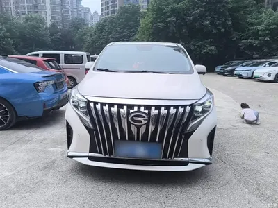 2021 GAC Trumpchi Trumpchi M8 Leading Show Series 390T Ultimate Edition, фото 3, лот 10424693