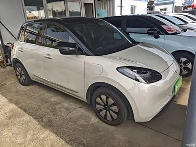 2023 Wuling Motors Wuling Bingo Model 333km Joy+ Version, фото 4, лот 10374768
