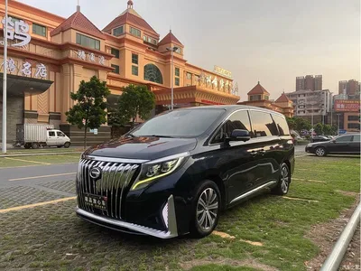 2018 GAC Trumpchi Trumpchi M8 320T Flagship Edition, фото 1, лот 10415901