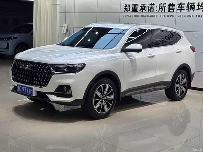 2023 Haval H6 National Trend Edition 1.5T Automatic Champion, фото 1, лот 10283005