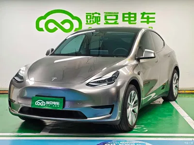 2022 Tesla Model Y Rear-Wheel Drive Version, фото 1, лот 11197115
