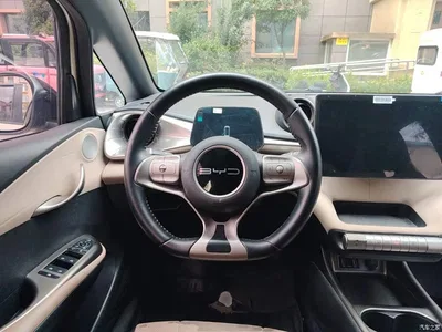 2023 BYD Dolphin 420km Fashion Edition, фото 3, лот 10264400