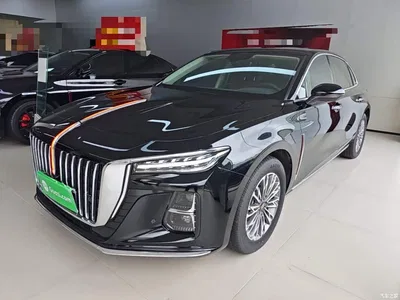 2025 Hongqi H5 1.5T DCT Flag Rhythm 500,000 Units Memorial Edition, фото 2, лот 11188546