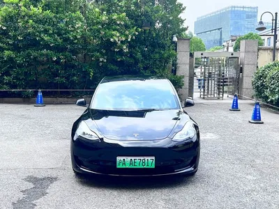 2021 Tesla Model 3 Standard Range Rear-Wheel Drive Upgrade, фото 2, лот 10350715