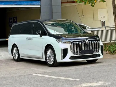 2024 Voyah Auto Voyah Dreamer EV Ultra Long Range Premium Edition, фото 3, лот 11212898