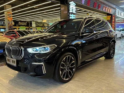 2023 BMW X5 xDrive 40Li M Sport Package, фото 1, лот 10421255