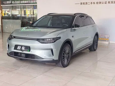 2023 Leapmotor C11 Pure Electric 500 Smart Edition, фото 1, лот 10315409