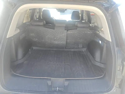 2024 Haval Big Dog 2.0T DCT Chinese Rural Dog Edition, фото 4, лот 10361715