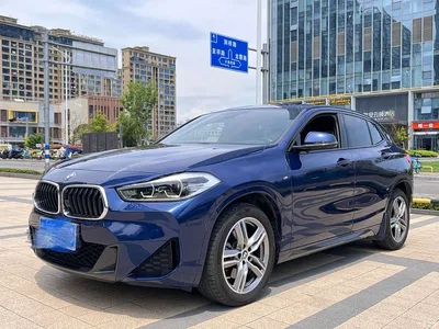 2020 BMW X2 sDrive25i Leading M Sport Package, фото 1, лот 10475430