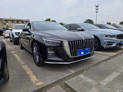 2023 Hongqi H5 2.0T Auto Smart Connect Flag Enjoy, фото 3, лот 10288211