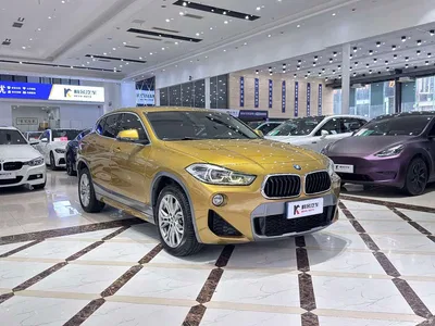 2019 BMW X2 (Import) sDrive25i Leading M Off-Road Package China VI, фото 4, лот 10418250